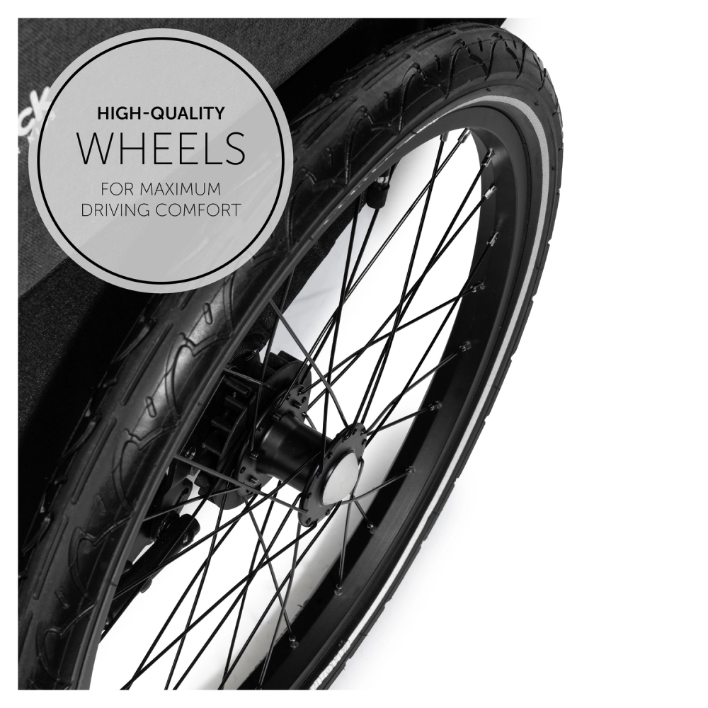 Remorque Vélo Hauck Dryk Duo - Melange Grey