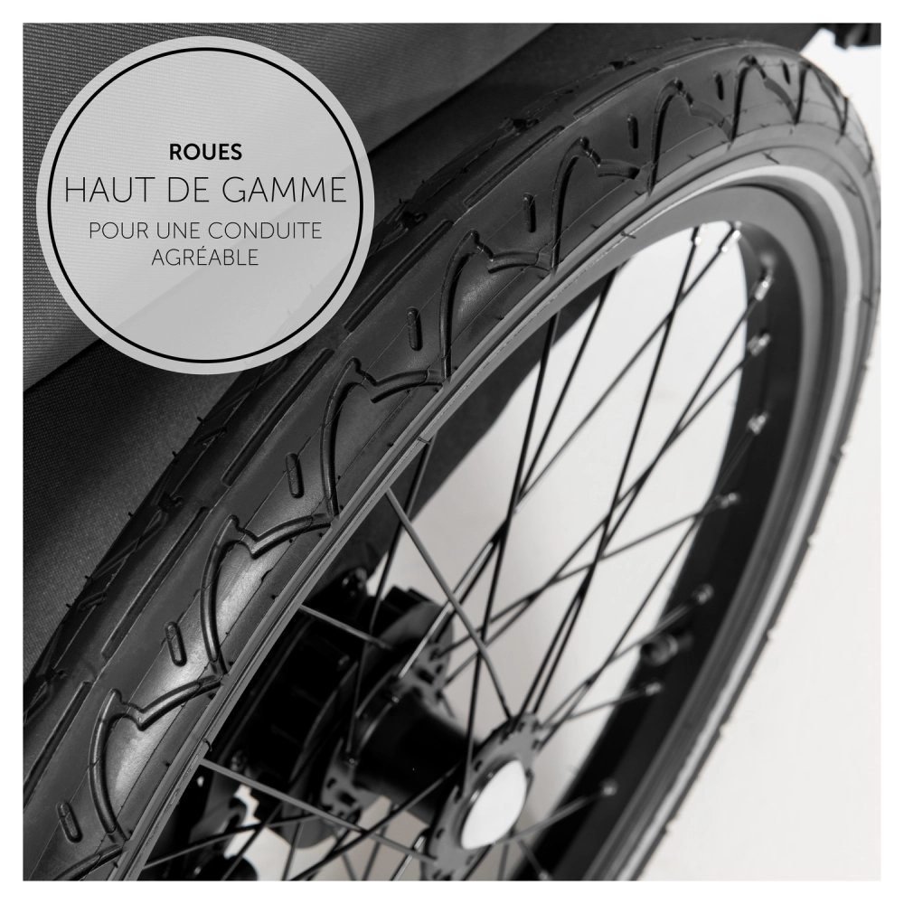 Remorque Vélo Hauck Dryk Duo - Grey