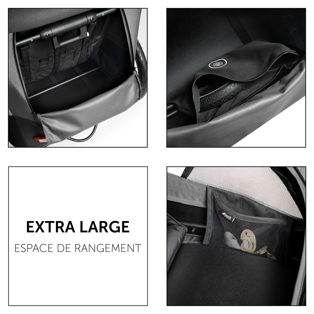 Remorque Vélo Hauck Dryk Duo - Grey