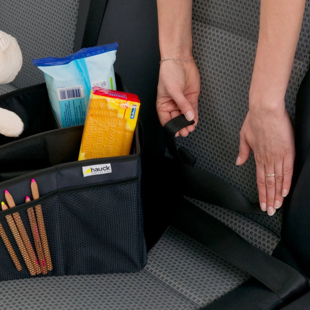 Organiseur de voiture Organize Me 
