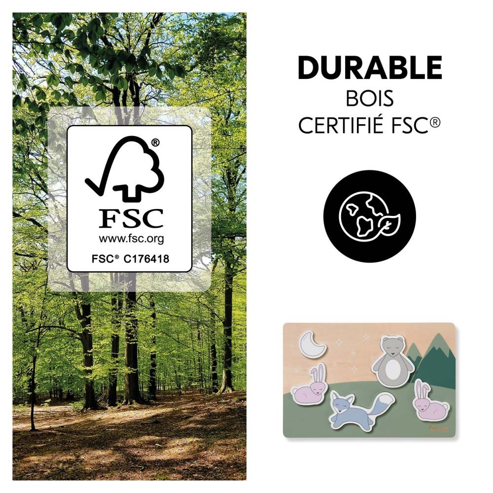 Jouets Puzzle N Fit Forest