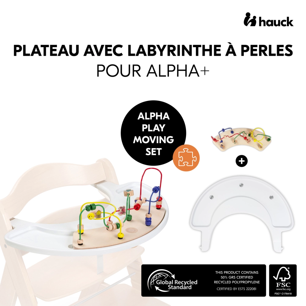 Plateau d'Activités Hauck Alpha - Play Moving Water Animals