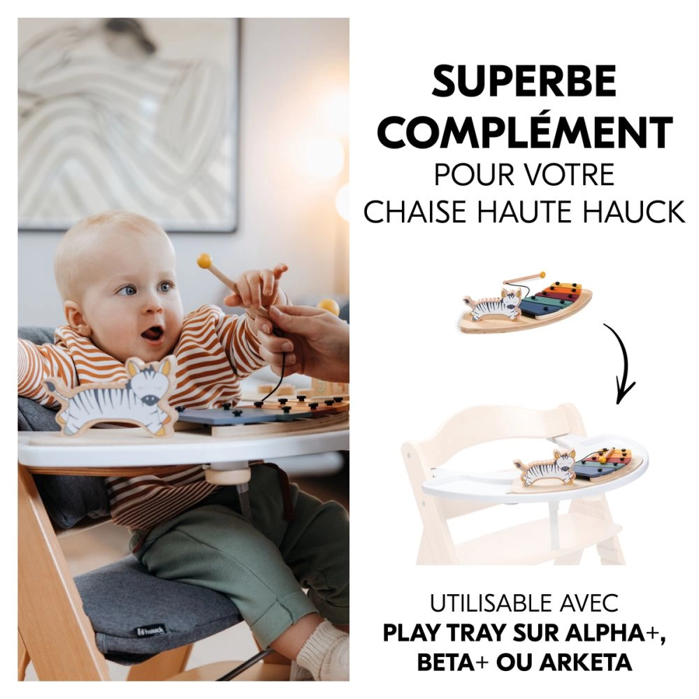 Jouets Play Music Zebra