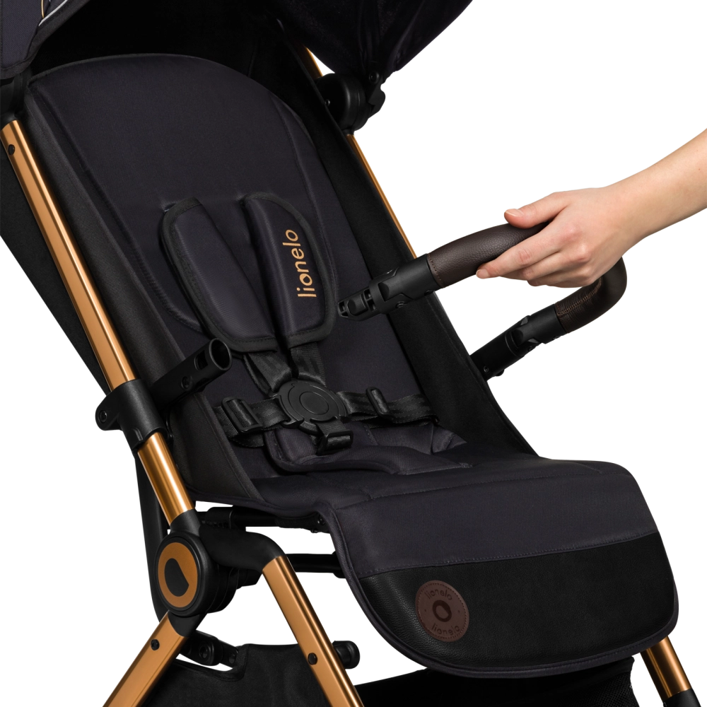 Poussette Lionelo Cloe - Golden Moments