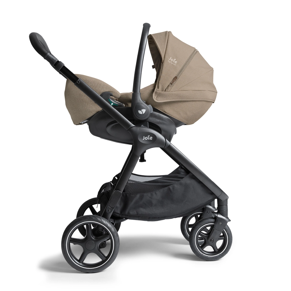 Coque Auto 0-13kg Joie I-Level Pro - Sandstone