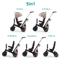 Tricycle Kinderkraft Easytwist - Bird