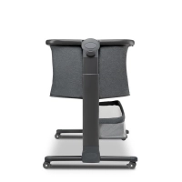 Lit Cododo Lionelo Timon - Grey