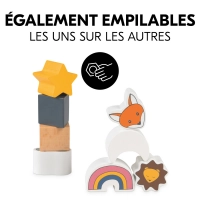 Cube d'Activités Hauck Sort N Build