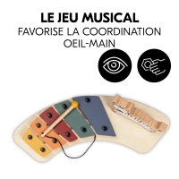 Jouets Play Music Zebra
