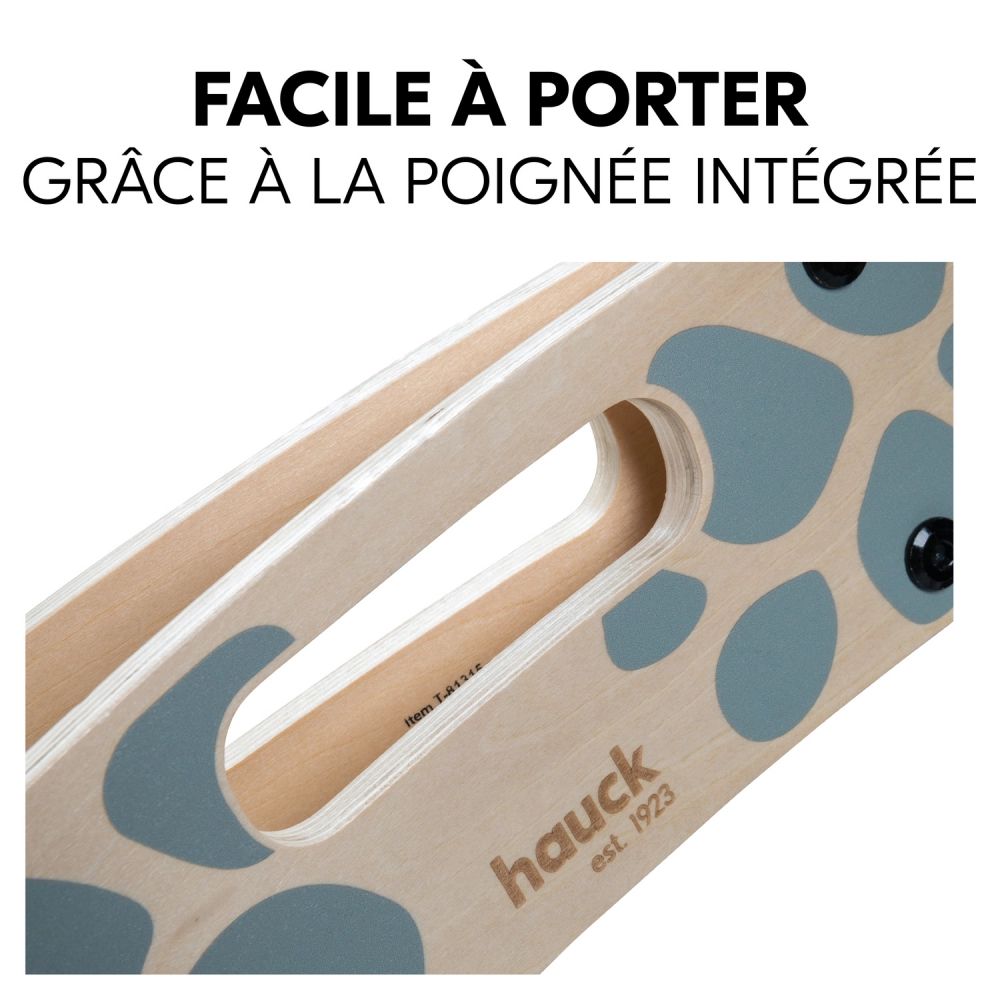 Draisienne Hauck Balance N Ride - Turtle