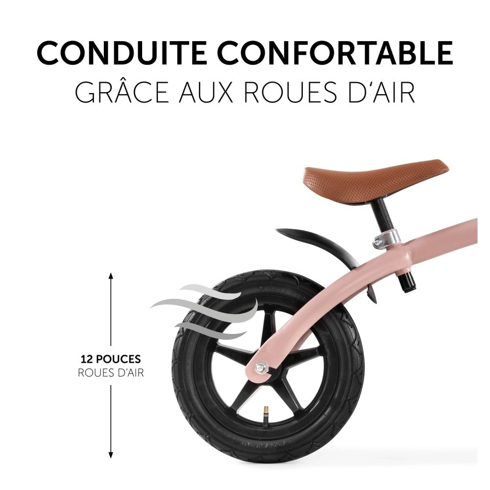 Draisienne Hauck E Z Rider 12 - Matt Rose