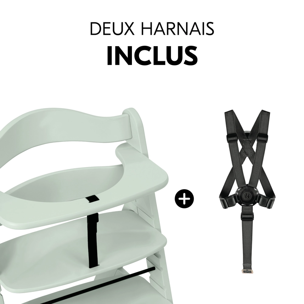 Chaise Haute Hauck Alpha+ - Mint