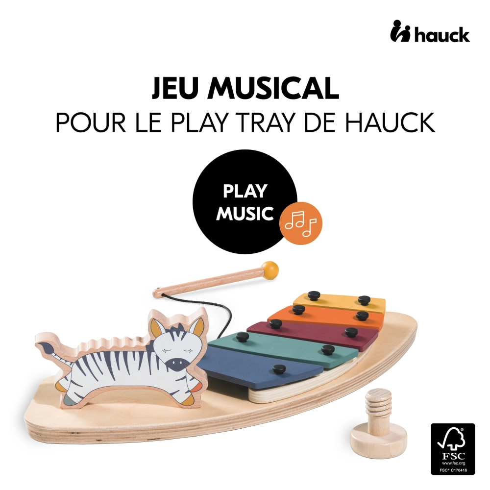 Jouets Play Music Zebra