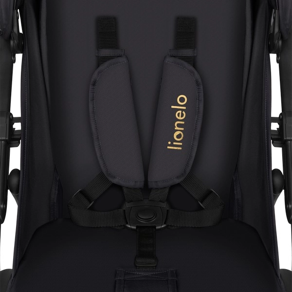 Poussette Lionelo Annet Plus - Golden Moments