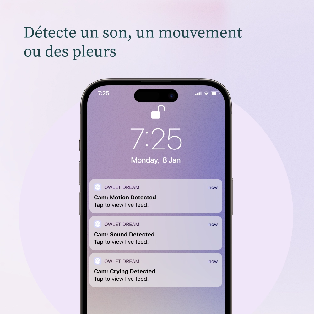 Babyphone Owlet Dream Sock - Mint + Cam 2 - Blanc