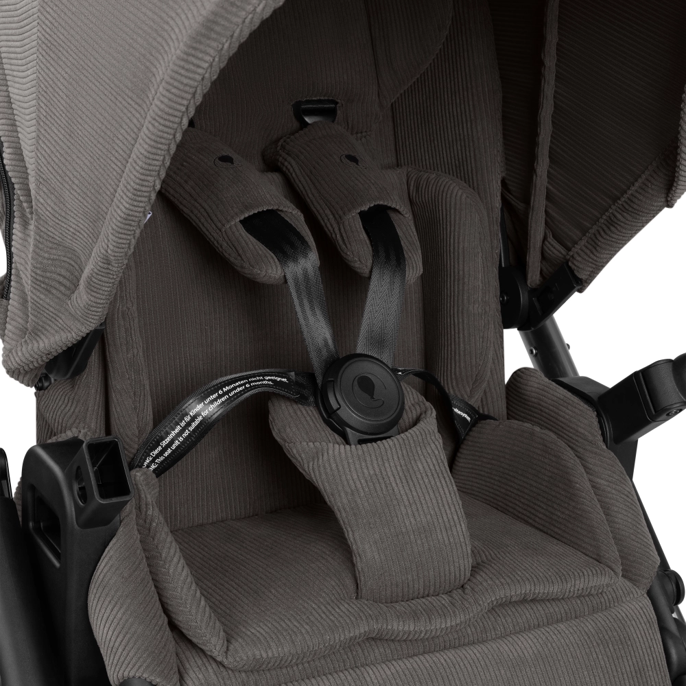 Poussette ABC Design Samba 2 - Almond