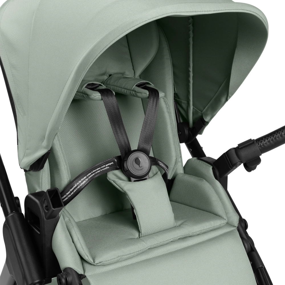 Poussette ABC Design Samba 2 - Pine