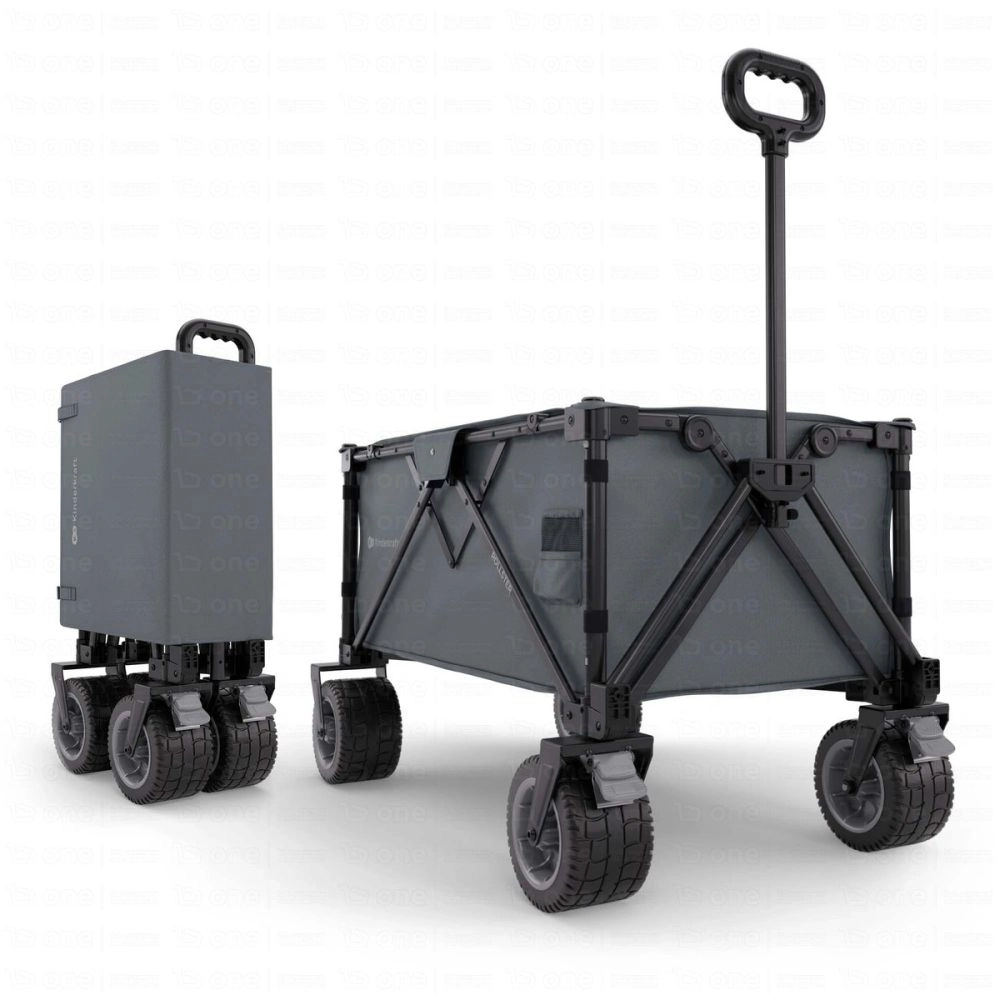 Chariot ROLLSTER - Kinderkraft - gris