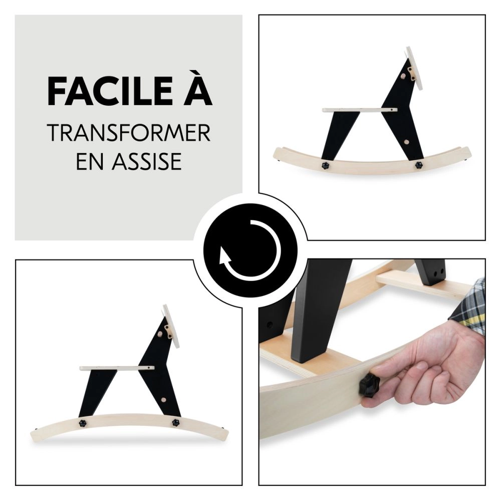 Jouets Rock N Swing Zebra