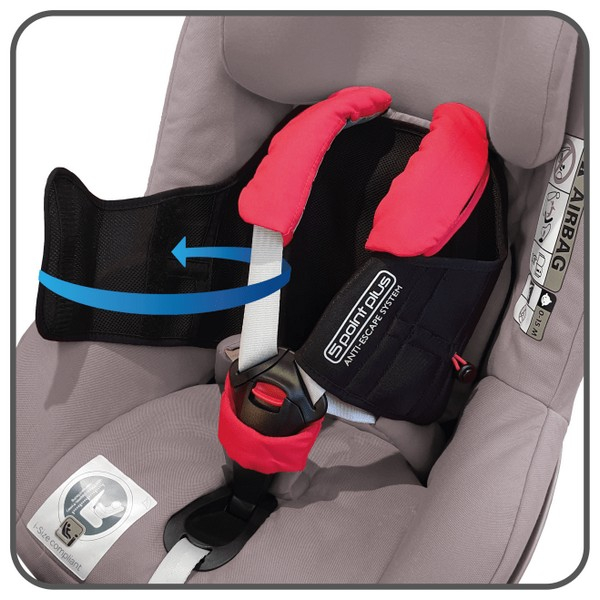 Fixed Harness 5 Point Plus