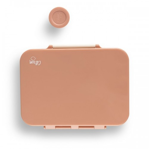 Lemon Meal Box - Pink Blush
