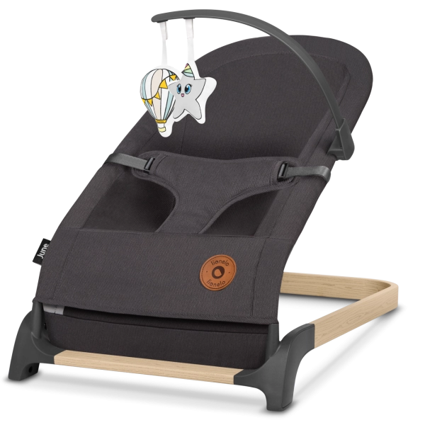 Balancelle 4Moms MamaRoo 5.0 - Classic Black - Univers Poussette