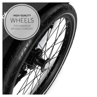 Remorque Vélo Hauck Dryk Duo - Melange Grey