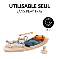 Jouets Play Music Zebra