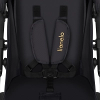 Poussette Lionelo Annet Plus - Golden Moments