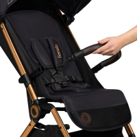 Poussette Lionelo Cloe - Golden Moments