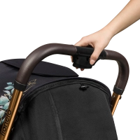 Poussette Lionelo Cloe - Golden Moments