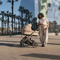 Poussette Tout-Terrain Balios S Lux 2025 - Châssis Taupe et Siège Moss Green - CYBEX - Moss Green