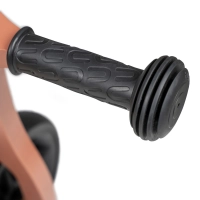 Porteur et draisienne 2 en 1 First Ride Eco Fox