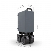 Chariot ROLLSTER - Kinderkraft - gris