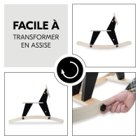 Jouets Rock N Swing Zebra